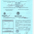 Ampliar imagen: certificate 2