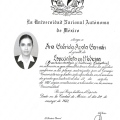Ampliar imagen: certificate 6