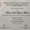 Ampliar imagen: certificate 3