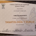 Ampliar imagen: certificate 5