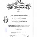 Ampliar imagen: certificate 1