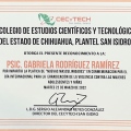 Ampliar imagen: certificate 15