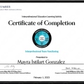 Ampliar imagen: certificate 10