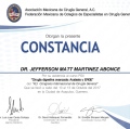 Ampliar imagen: certificate 5