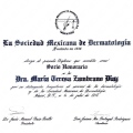 Ampliar imagen: certificate 3