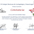Ampliar imagen: certificate 8