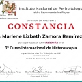 Ampliar imagen: certificate 3
