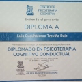 Ampliar imagen: certificate 7
