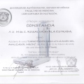 Ampliar imagen: certificate 3