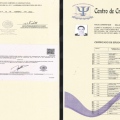 Ampliar imagen: certificate 5