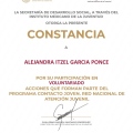Ampliar imagen: certificate 3