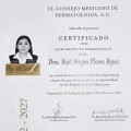 Ampliar imagen: certificate 3