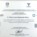 Ampliar imagen: certificate 11