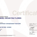 Ampliar imagen: certificate 2