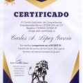 Ampliar imagen: certificate 1