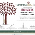 Ampliar imagen: certificate 5
