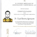 Ampliar imagen: certificate 3