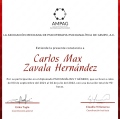 Ampliar imagen: certificate 14