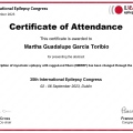 Ampliar imagen: certificate 9