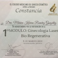 Ampliar imagen: certificate 7