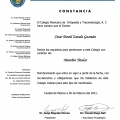 Ampliar imagen: certificate 4