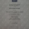 Ampliar imagen: certificate 5