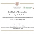 Ampliar imagen: certificate 1