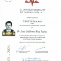 Ampliar imagen: certificate 1