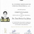 Ampliar imagen: certificate 3