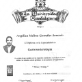 Ampliar imagen: certificate 6