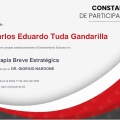 Ampliar imagen: certificate 5