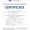 Ampliar imagen: certificate 7