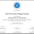 Ampliar imagen: certificate 3