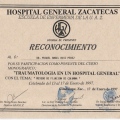 Ampliar imagen: certificate 19