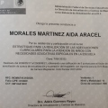 Ampliar imagen: certificate 8