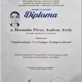Ampliar imagen: certificate 4