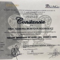 Ampliar imagen: certificate 11