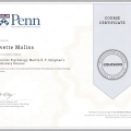 Ampliar imagen: certificate 3