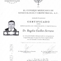 Ampliar imagen: certificate 1