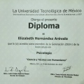Ampliar imagen: certificate 11