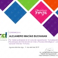 Ampliar imagen: certificate 13