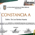 Ampliar imagen: certificate 2
