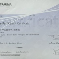 Ampliar imagen: certificate 31