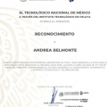 Ampliar imagen: certificate 1