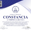 Ampliar imagen: certificate 8