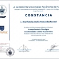 Ampliar imagen: certificate 4