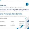 Ampliar imagen: certificate 2