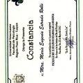Ampliar imagen: certificate 19