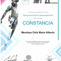 Ampliar imagen: certificate 13