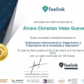 Ampliar imagen: certificate 10
